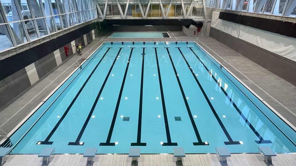 Swimming pool setup: What you need to take into account