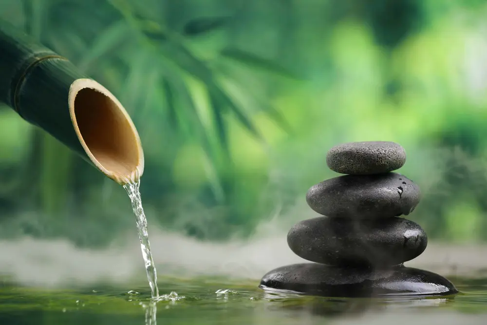 Holistic therapies: enhancing wellness in spas and wellness centers